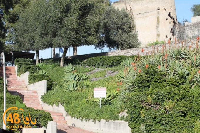 re7la janob (54).JPG